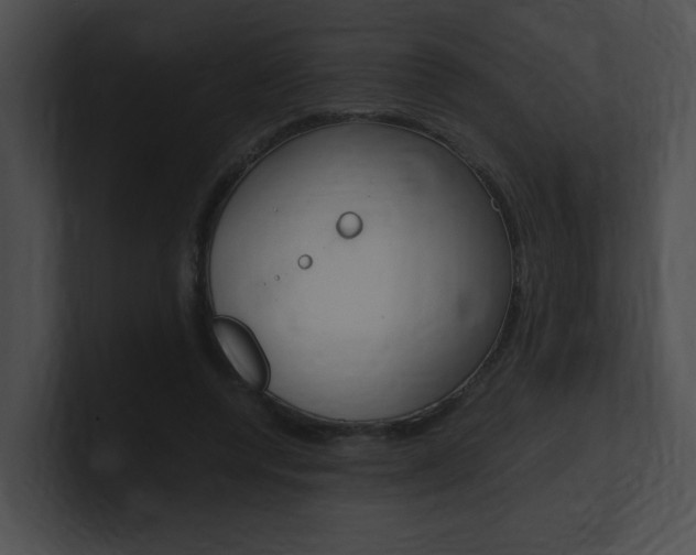 X0000101170544200806270755