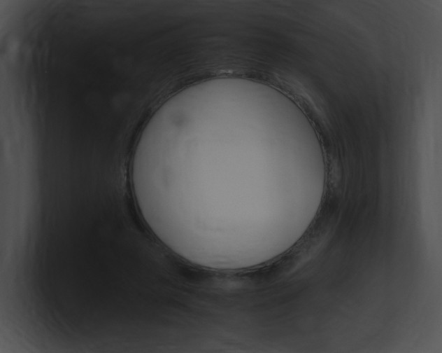 X0000101170545200806270755