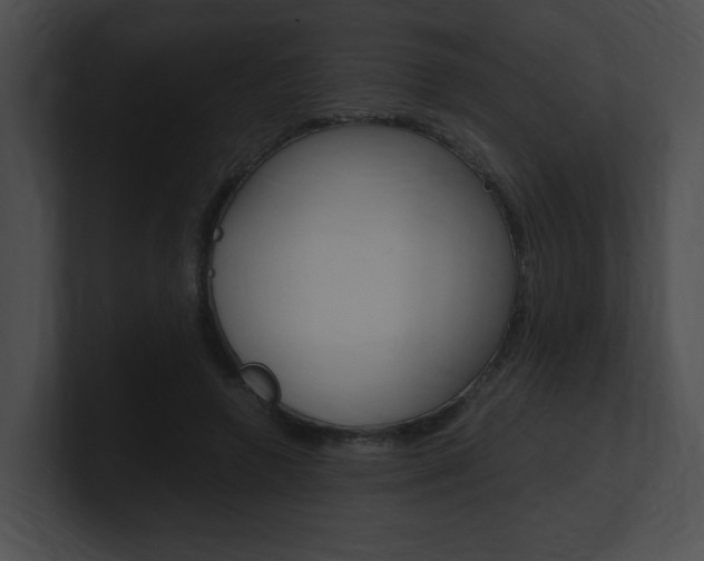 X0000101170546200806270755