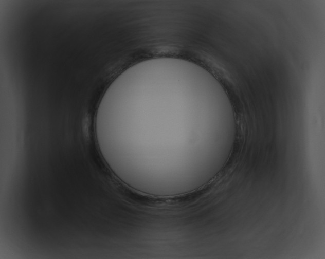 X0000101170550200806270755