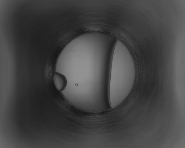X0000101170551200806270755