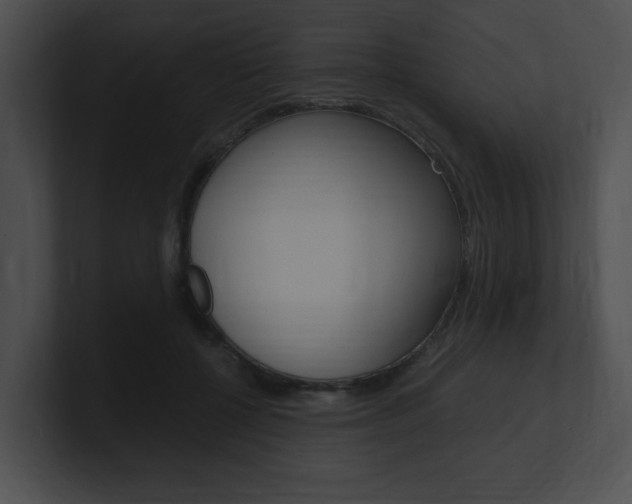 X0000101170552200806270755