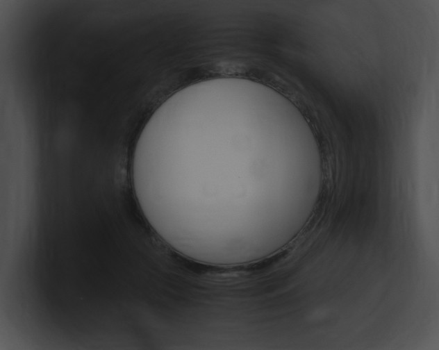 X0000101170553200806270755