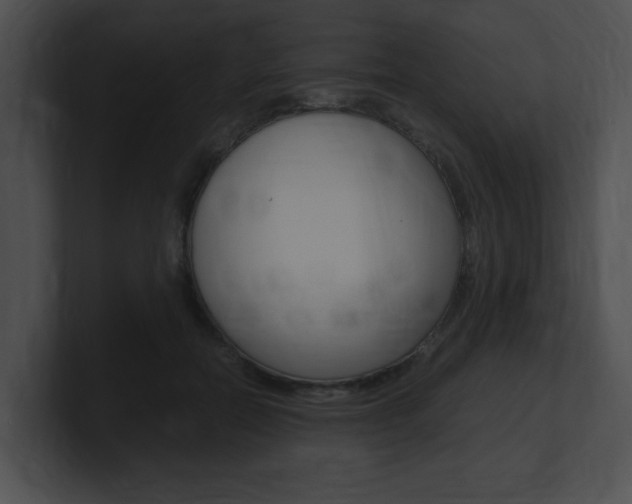 X0000101170554200806270755