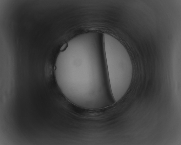 X0000101170555200806270755