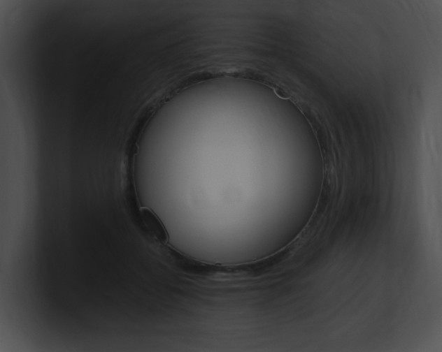 X0000101170556200806270755
