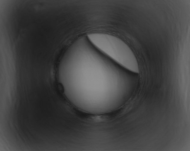 X0000101170558200806270756