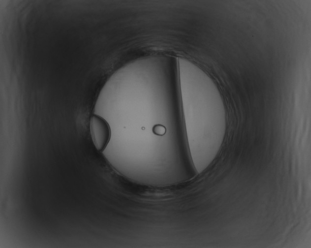 X0000101170559200806270756