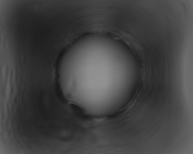 X0000101170560200806270756