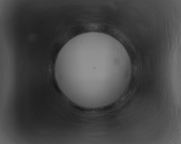 X0000101170561200806270756
