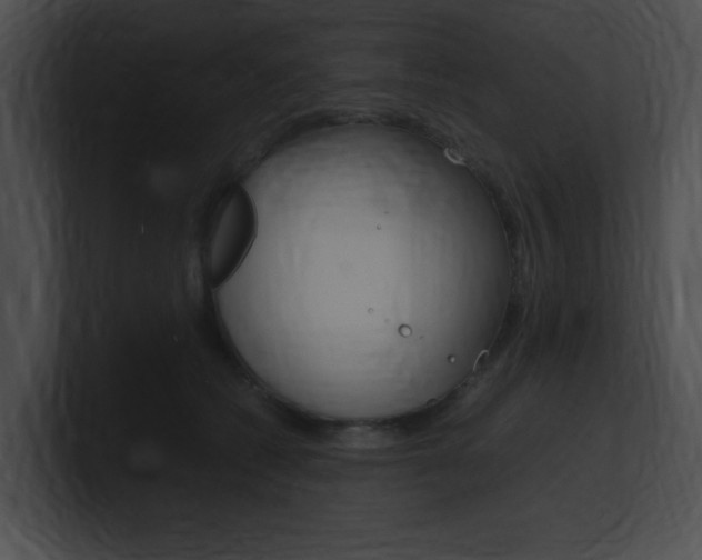 X0000101170562200806270756