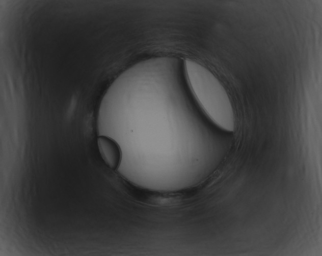 X0000101170563200806270756