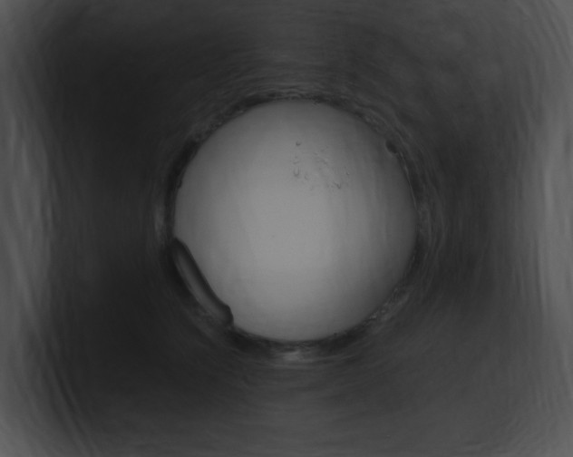 X0000101170564200806270756