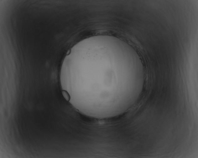 X0000101170565200806270756
