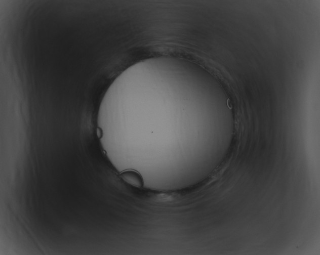 X0000101170566200806270756