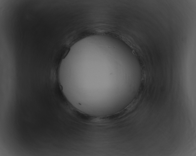 X0000101170568200806270756