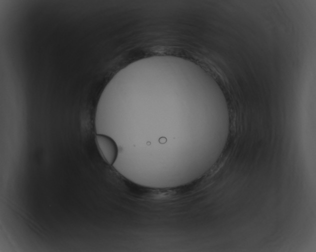 X0000101170569200806270756