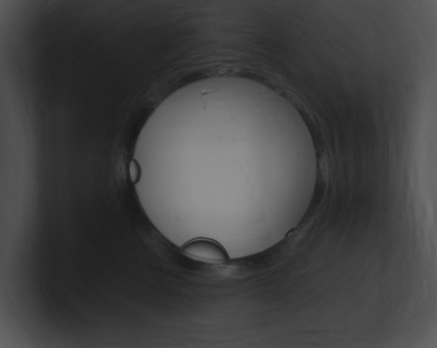 X0000101170570200806270756