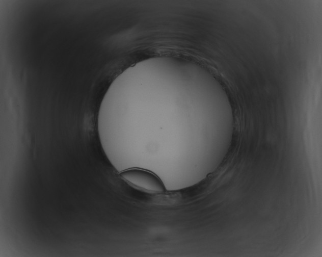 X0000101170571200806270756