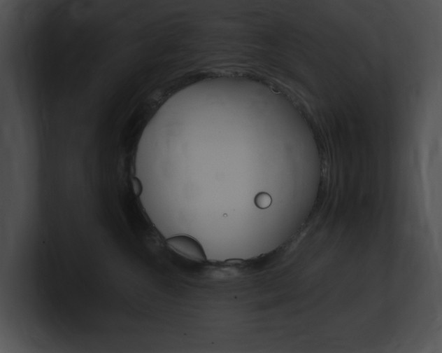 X0000101170572200806270756