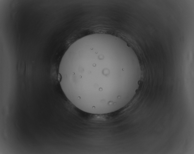 X0000101170573200806270756