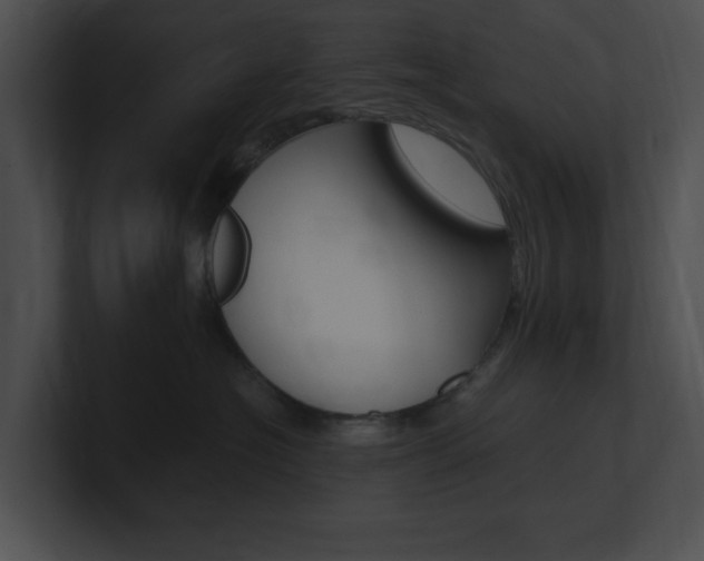 X0000101170574200806270756