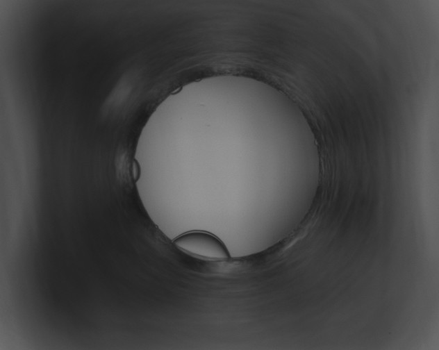 X0000101170575200806270756