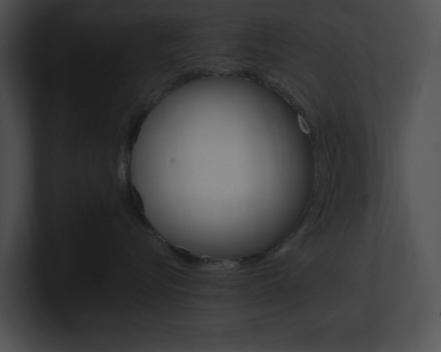 X0000101170576200806270756