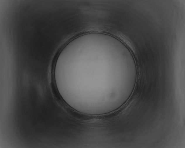 X0000101170578200806270755
