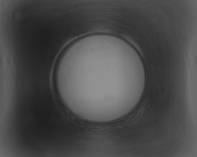 X0000101170579200806270755
