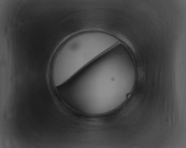 X0000101170580200806270755