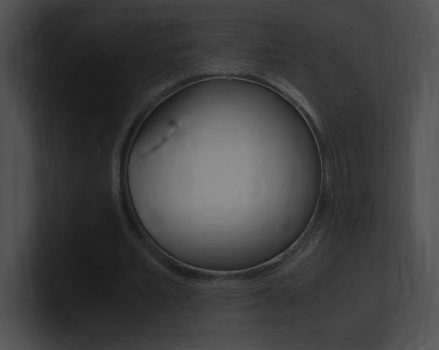X0000101170581200806270755