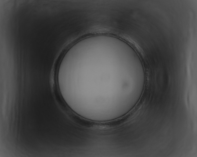 X0000101170582200806270755