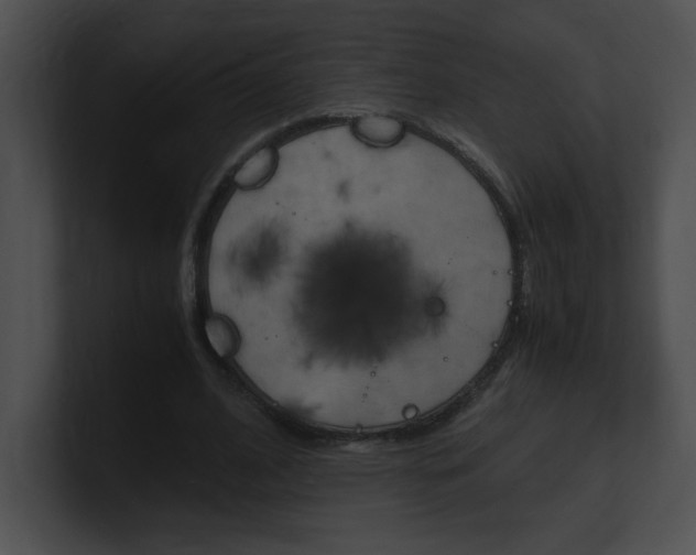X0000101170584200806270755