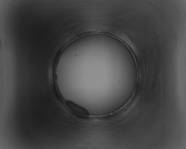 X0000101170585200806270755