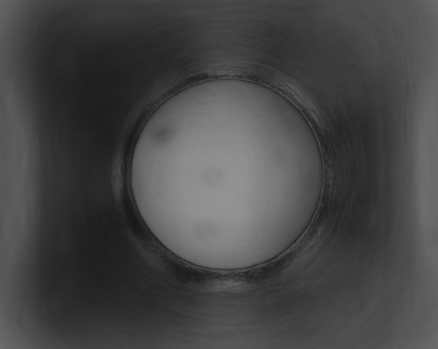 X0000101170586200806270755