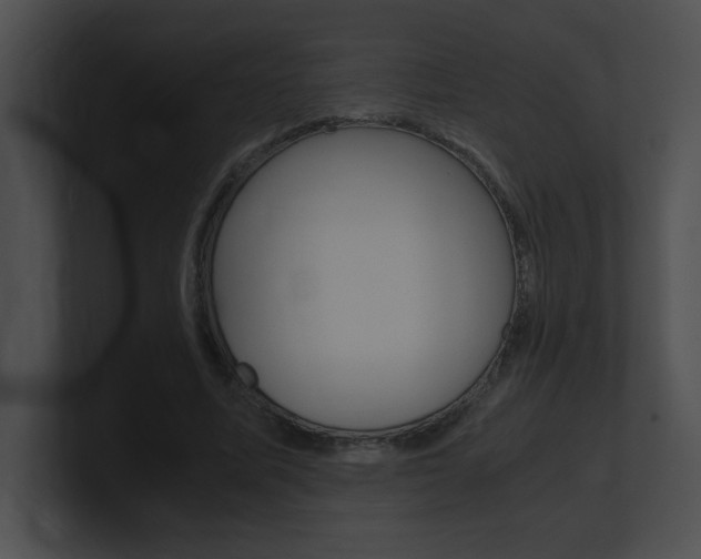 X0000101170587200806270755