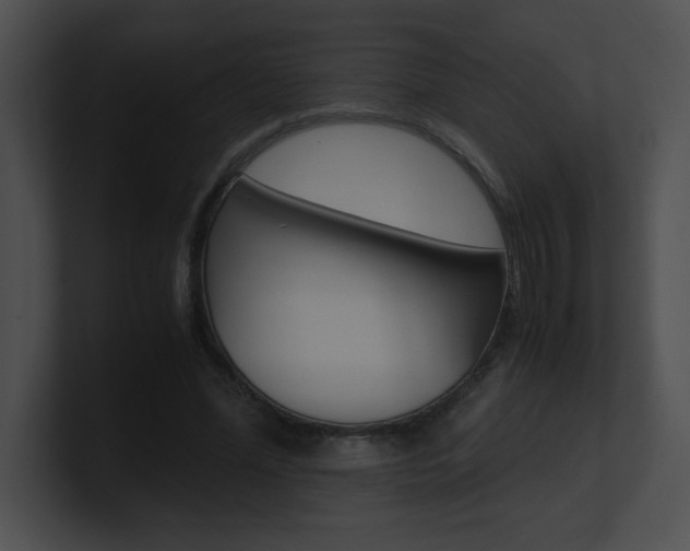 X0000101170588200806270755