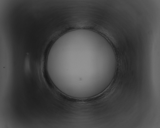 X0000101170590200806270755
