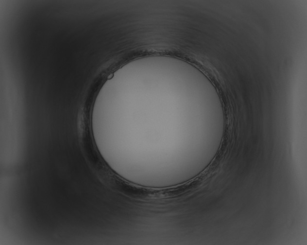 X0000101170591200806270755
