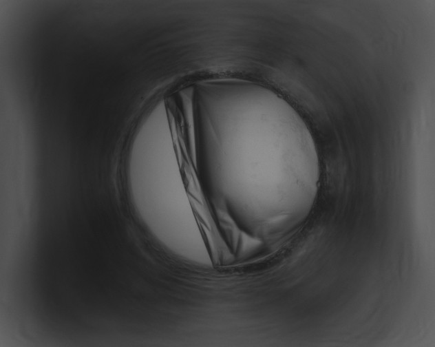 X0000101170592200806270755