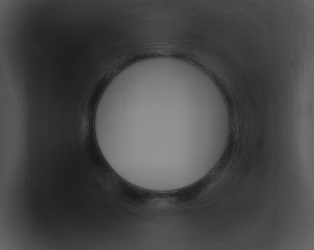 X0000101170595200806270755