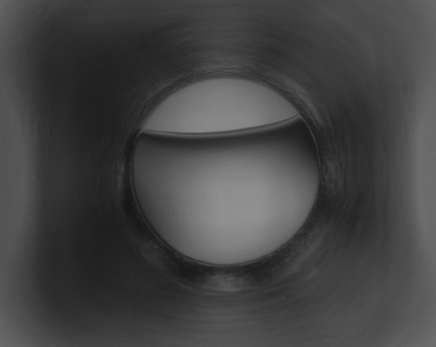 X0000101170596200806270755