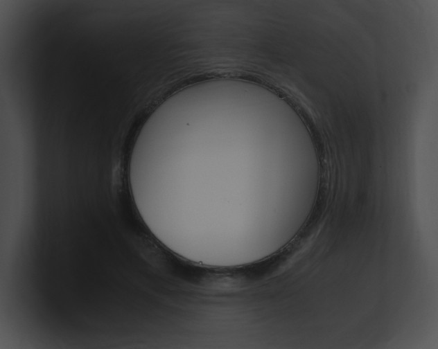 X0000101170597200806270755