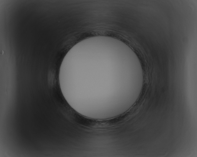 X0000101170599200806270755