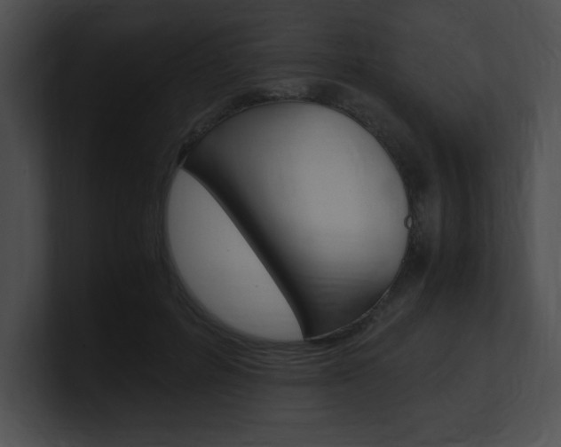 X0000101170600200806270755