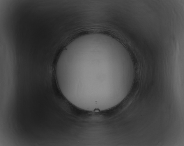 X0000101170601200806270755