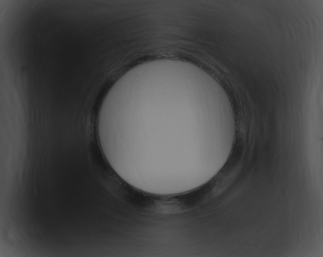 X0000101170603200806270755