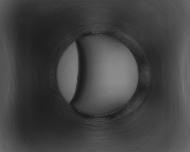 X0000101170604200806270755