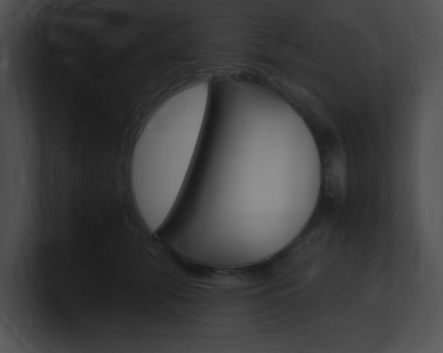 X0000101170608200806270755